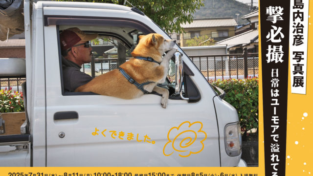 島内治彦 写真展「一撃必撮 日常はユーモアで溢れてる」
